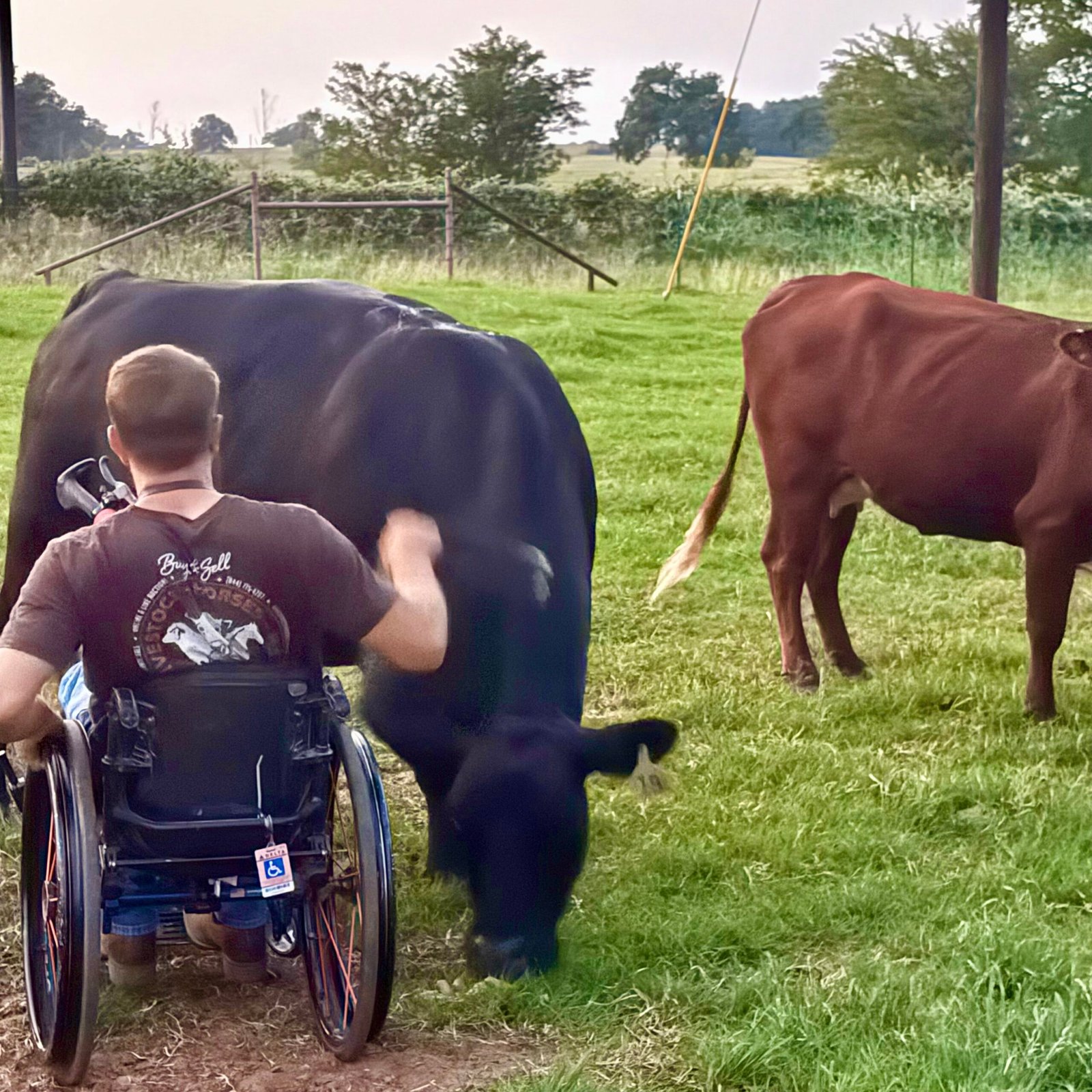 Ranch scene with trailer and pasture