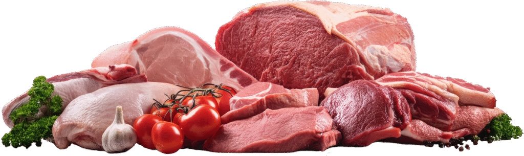 vecteezy meat assortment different raw meat isolated 49567158