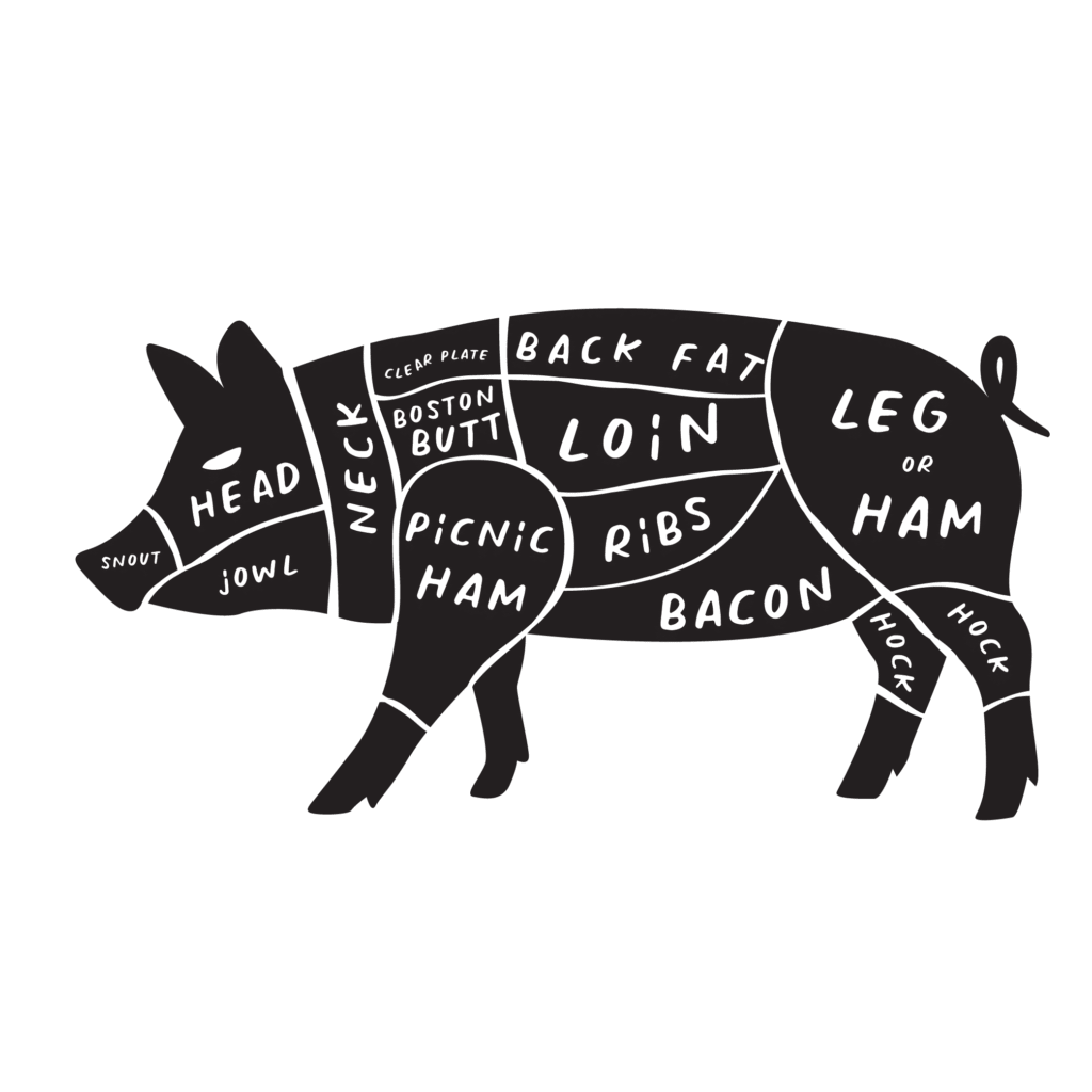 vecteezy the butcher s cut guide of pork 19898628